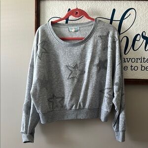 Gray Star Embroidered Sweatshirt